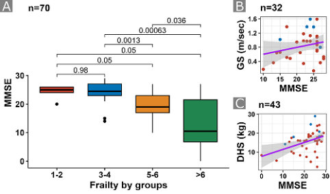 Correlación entre puntaje total MMSE y medidas de fragilidad. A) Clinical Frailty Scale por grupos (K–W p< 0,001). B) Velocidad de la marcha (GS) (R =0,24;